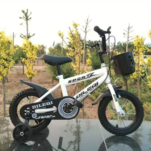 Lightweight Iron Frame Kids Bike
