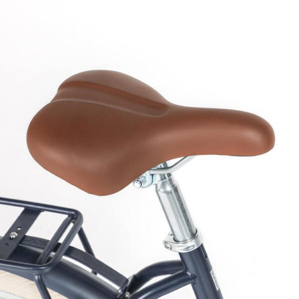 Low-Step Comfort Bicycle for Everyday City Travel